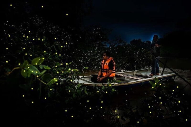 Kuala Lumpur: Fireflies Tour with Dinner and Hotel Pickup - Analyzing the Value