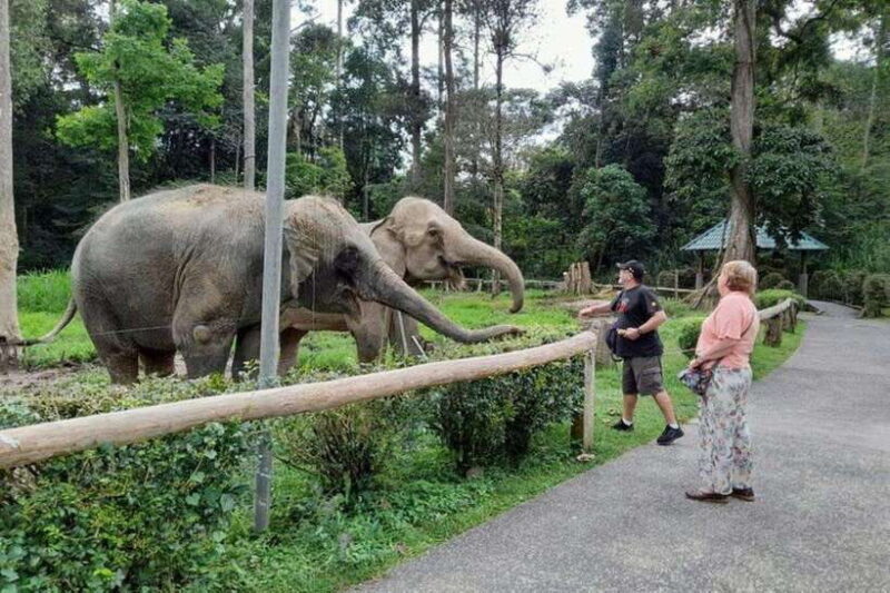 Kuala Lumpur: Kuala Gandah and Batu Caves Private Trip - A Closer Look at the Tour Experience
