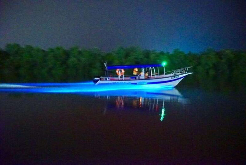 Kuala Lumpur: Kuala Selangor Fireflies and Blue Tears Tour - Key Points