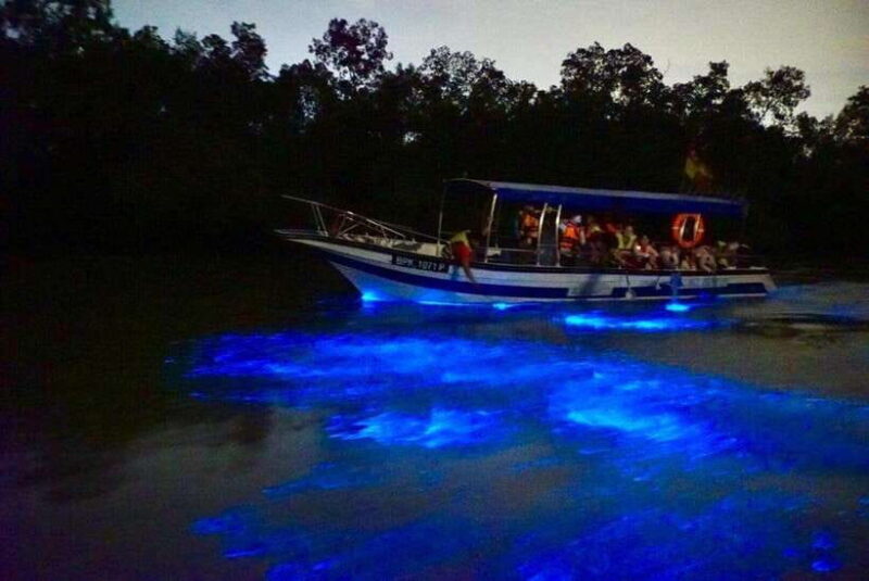 Kuala Lumpur: Kuala Selangor Fireflies and Blue Tears Tour - Who Will Love This Tour?