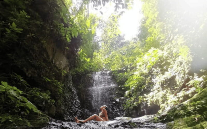 Kuala Lumpur: Taman Negara National Park Teras Waterfall - Key Points