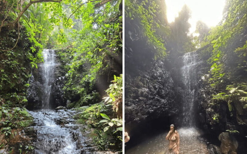Kuala Lumpur: Taman Negara National Park Teras Waterfall - A Practical Look at the Itinerary: What to Expect