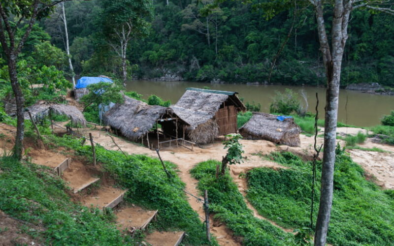 Kuala Lumpur: Taman Negara National Park Teras Waterfall - Final Thoughts: Is This Tour Worth It?