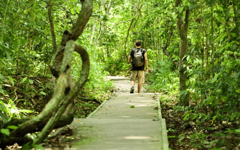 Kuala Lumpur: Taman Negara National Park Teras Waterfall - Final Word