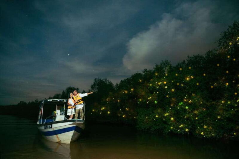 Kuala Selangor: Firefly and Blue Tears Tour - An Overview of the Kuala Selangor Firefly & Blue Tears Tour