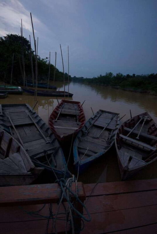 Kuala Selangor: Firefly and Blue Tears Tour - What’s Included and What’s Not