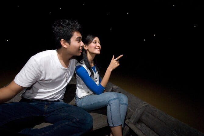 Kuala Selangor Firefly Blinkings Private Tour with Seafood Dinner - An In-Depth Look at the Tour Experience