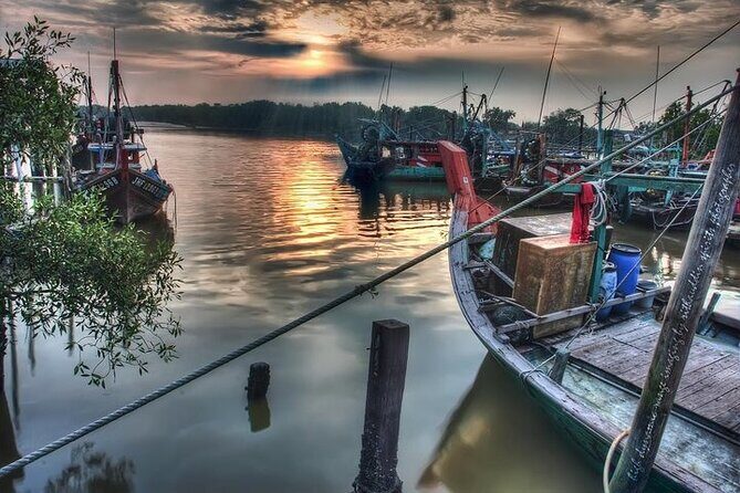 Kuala Selangor Firefly Tour From Kuala Lumpur - Final Thoughts