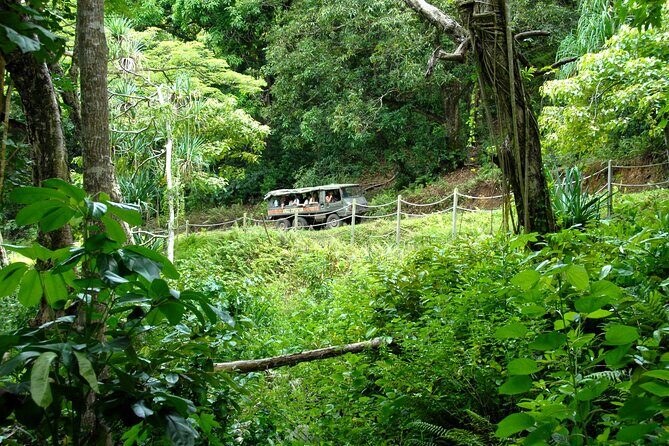 Kualoa Ranch: Jungle Expedition Tour - An in-depth look at the Jungle Expedition Tour