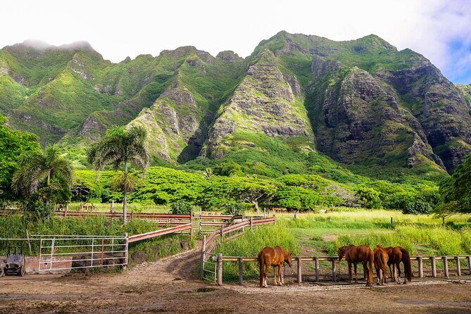 Kualoa Ranch - Kualoa Grown Tour - Key Points