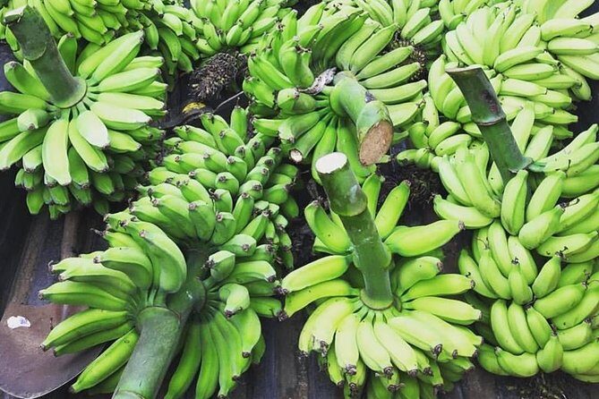 Kualoa Ranch - Kualoa Grown Tour - Final Thoughts: Who Will Love the Kualoa Grown Tour?