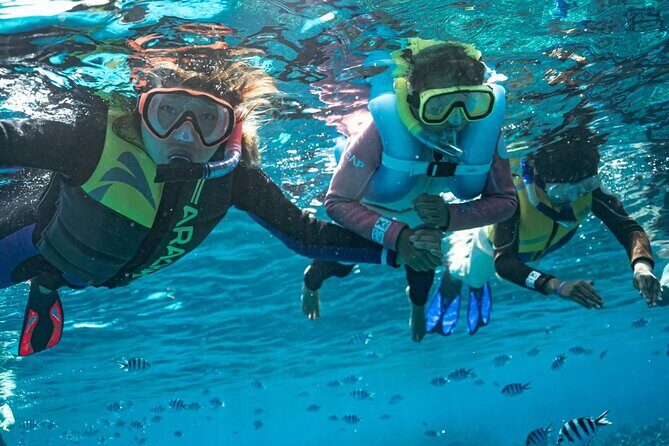 Kuata Island Marine Conservation Experience with Lunch - Why This Tour Offers Value