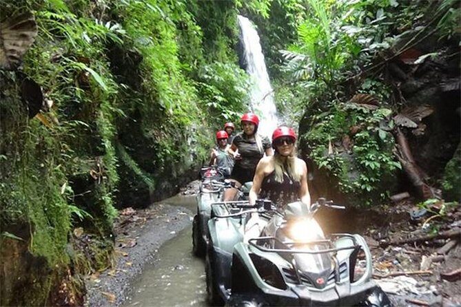 KUBER ATV UBUD - Tunnel Waterfall Rice field Jungle w Private Car - What the Reviews Say