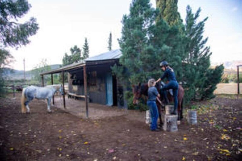 Kudu Trail Horse Riding Experience - Kudu Trail Horse Riding Experience: A Genuine Ride Through the Klein Karoo