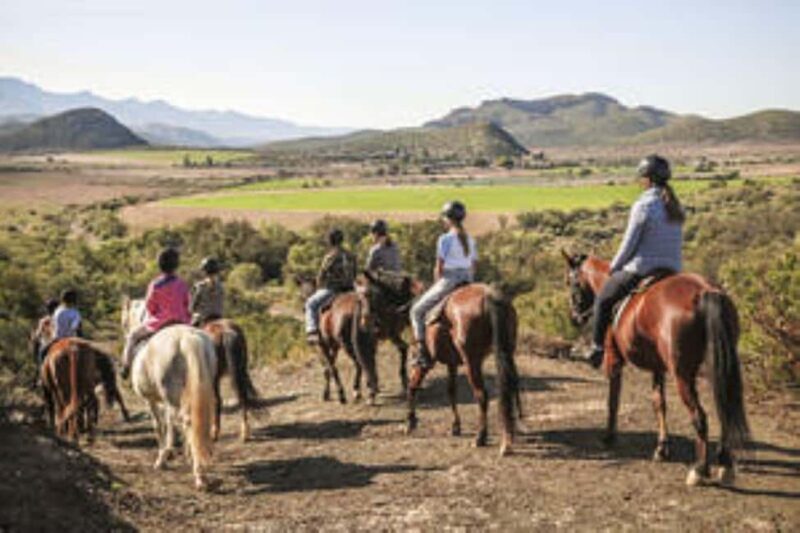 Kudu Trail Horse Riding Experience - What Reviewers Say