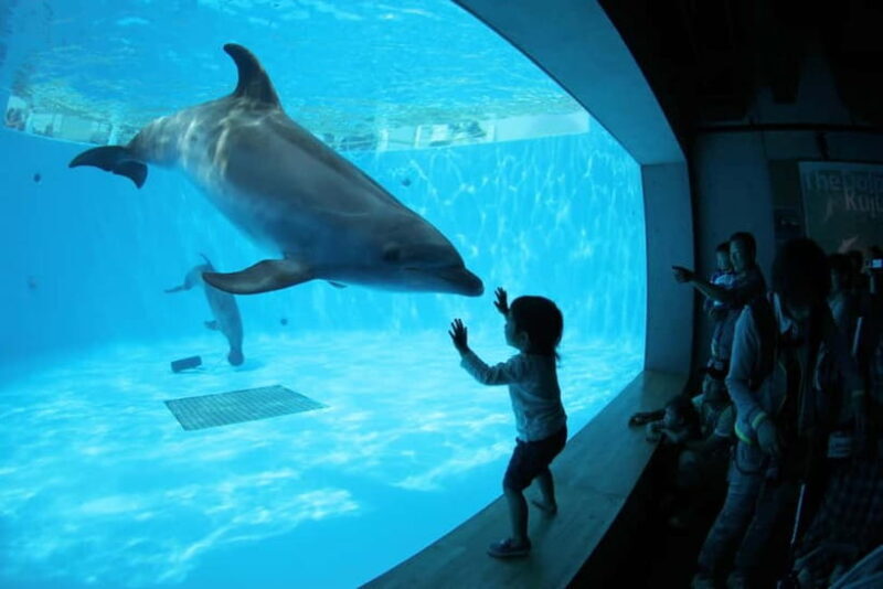 Kujukushima: Aquarium Umikirara Admission Ticket - Introduction