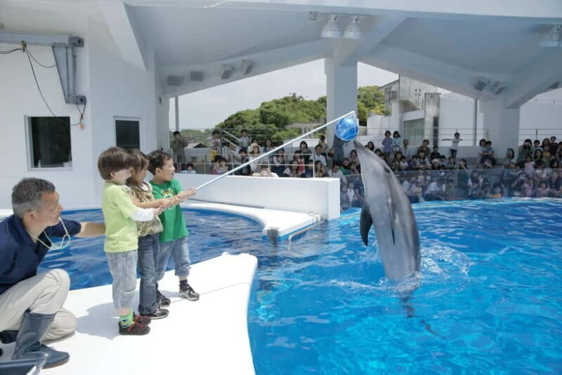 Kujukushima: Aquarium Umikirara Admission Ticket - Key Points
