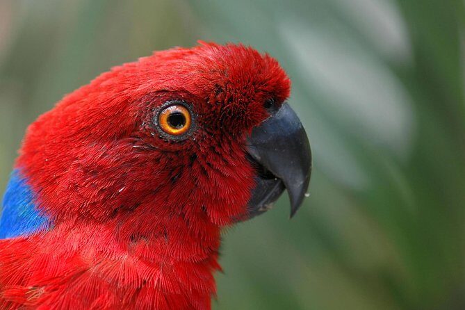 Kula Eco Park Admission - Key Points