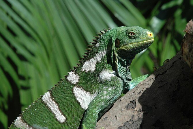 Kula Eco Park Admission - A Closer Look at the Kula Eco Park Experience