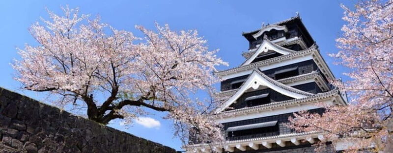Kumamoto: Castle Admission Ticket - The Historic Grounds of Kumamoto Castle