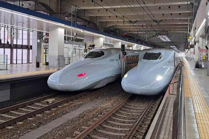 Kumamoto: Castle & Culture Day Trip from Hakata to Kumamoto - A Closer Look at the Kumamoto: Castle & Culture Day Trip