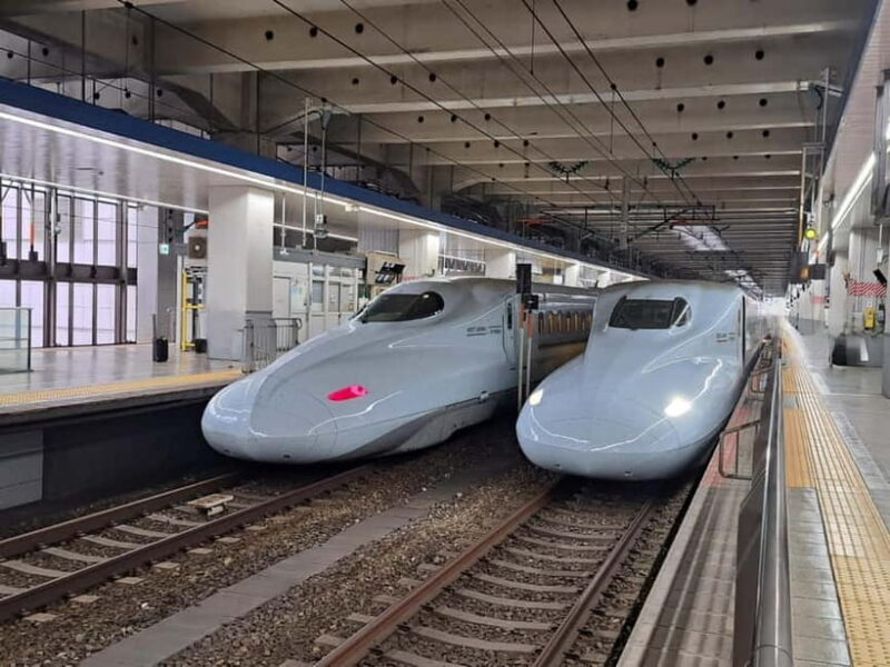Kumamoto: Castle & Culture Trip from Hakata to Kumamoto - Practical Tips for Participants