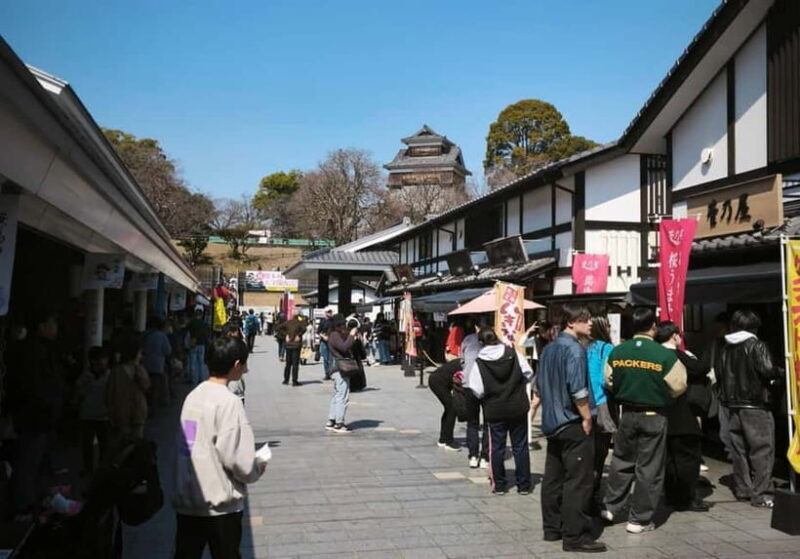 Kumamoto City: Private Castle Tour & Hidden Local Eats - Hidden Eateries: Savoring Local Flavors