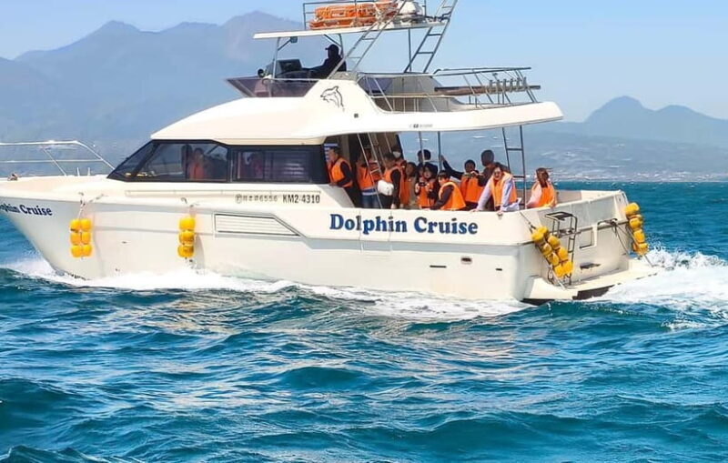 Kumamoto: Dolphin Watching and Zipline Experience Tour - Why You Should Consider This Tour