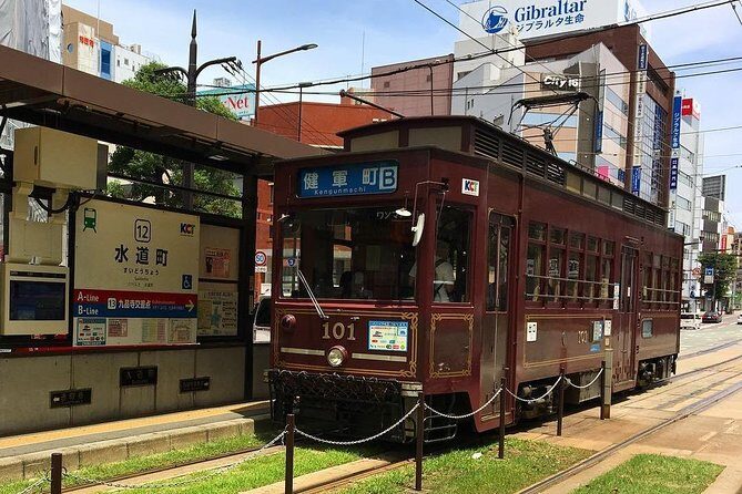 Kumamoto Half-Day Private Tour with Government-Licensed Guide - An In-Depth Look at the Kumamoto Private Tour