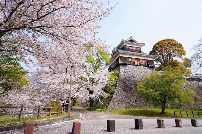 Kumamoto Private Customizable Full Day Tour - A Deep Dive into the Kumamoto Private Tour