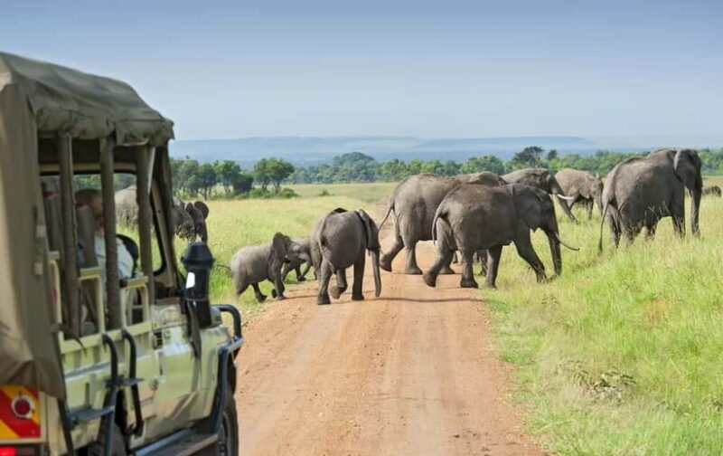 Kumana National Park Leopard Safari PRIVATE Tour - Who Should Consider This Tour?