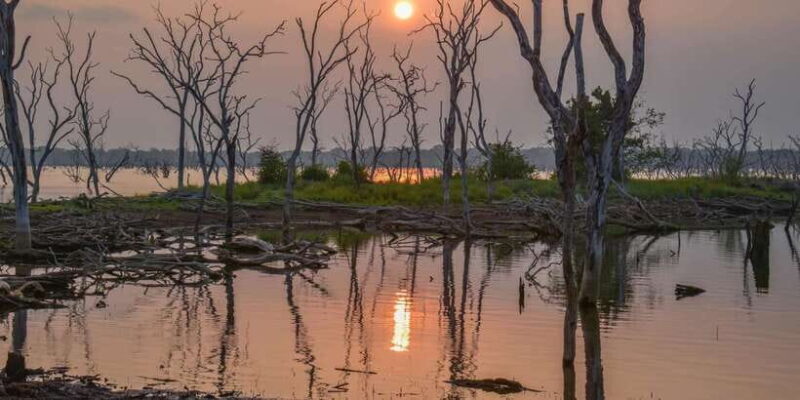Kumana National Park: Morning or Afternoon Leopard Safari - FAQ