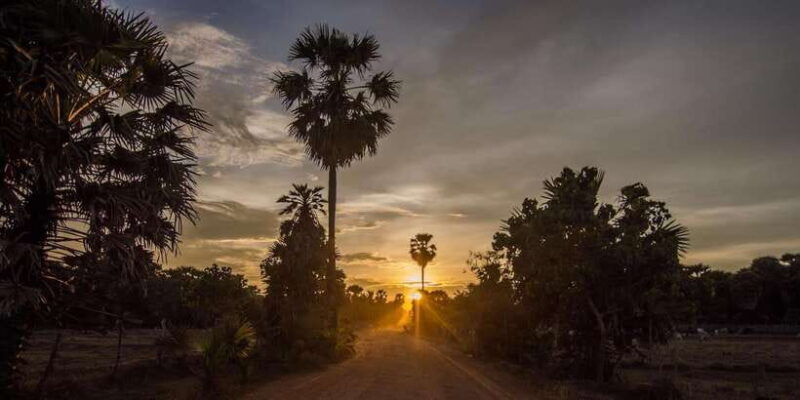 Kumana National Park: Morning or Afternoon Leopard Safari - Final Words