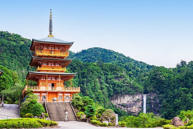 Kumano Kodo Pilgrimage Tour with Licensed Guide & Vehicle - The Real-World Experiences from Past Travelers