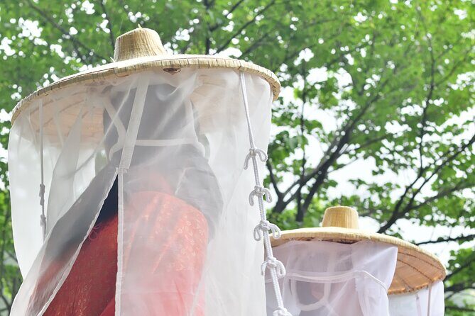 Kumano Kodo Pilgrimage Tour with Licensed Guide & Vehicle - Is This Tour Right for You?