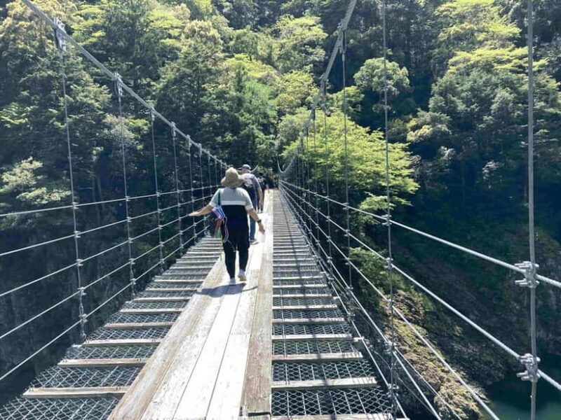 Kumano Kodo Pilgrimage Tour with Licensed Guide & Vehicle - The Kumano Kodo: What the Tour Covers