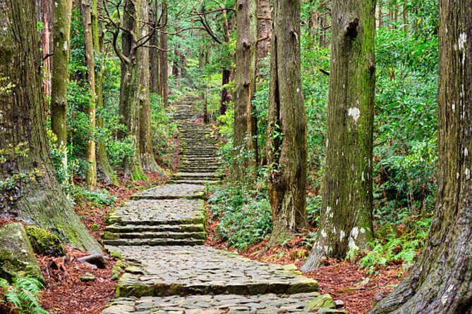 Kumano Kodo Private Guided Tour from Kumano Hongu Taisha - Final Thoughts