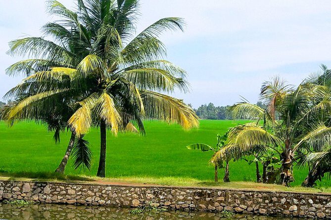 Kumarakom Explore Backwaters & Birds at Coconut Lagoon Pick&Drop - Final Thoughts