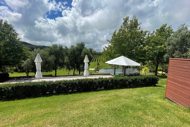 Kumeu Wine Tour - An In-Depth Look at the Kumeu Wine Tour