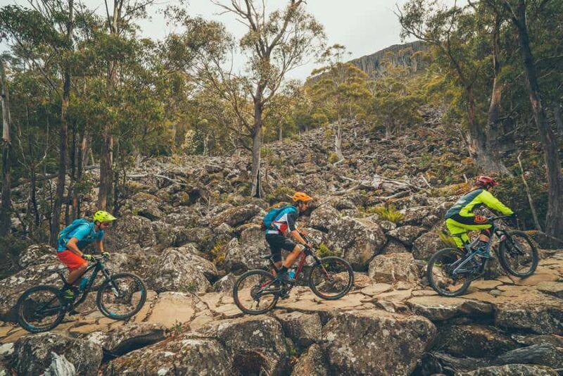 Kunanyi & Mt Wellington Explorer Bus: One-Way Bus Pass - Who Should Consider This Experience?
