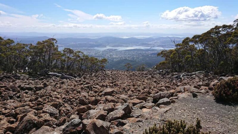 Kunanyi & Mt Wellington Explorer Bus: One-Way Bus Pass - Final Thoughts: A Value-Packed Day Out