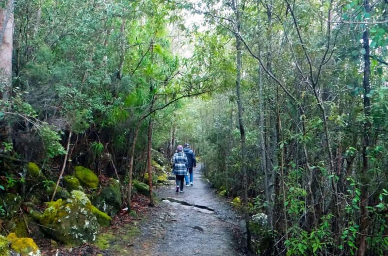 Kunanyi & Mt Wellington Explorer Bus: One-Way Bus Pass - FAQ: Your Questions About the Kunanyi & Mt Wellington Explorer Bus
