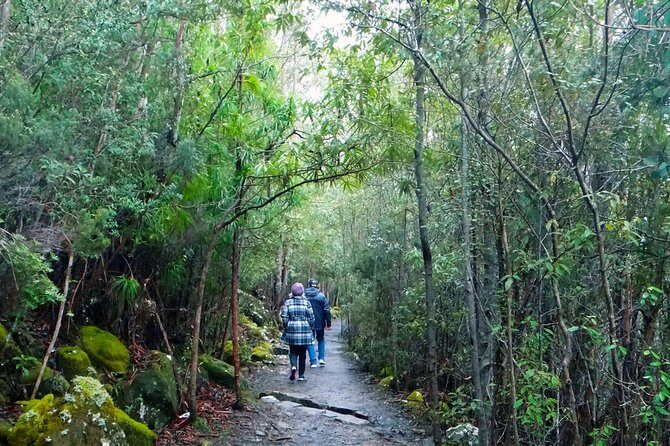 kunanyi/Mt Wellington Explorer Bus - One Way Tour - Starting Out: Convenient Pickup and Friendly Atmosphere