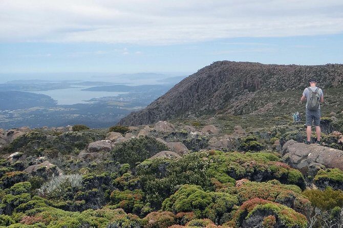 kunanyi/Mt Wellington Explorer Bus - One Way Tour - The Descent: Walking or Mountain Biking