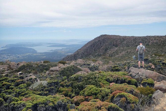 kunanyi/Mt Wellington Explorer Bus- Return Tour (2.5 hours) - How the Tour Works: An In-Depth Look
