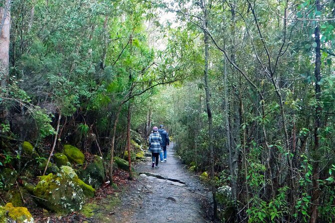 kunanyi/Mt Wellington Explorer Bus- Return Tour (2.5 hours) - Who Will Love This Tour?