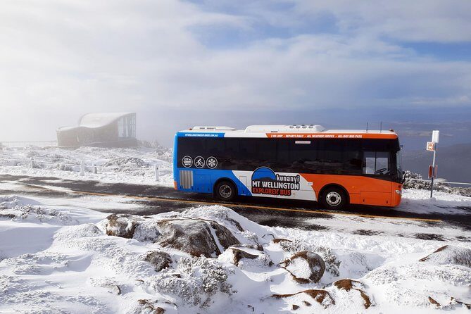 kunanyi/Mt Wellington Explorer Bus- Return Tour (2.5 hours) - Practical Details and Final Tips