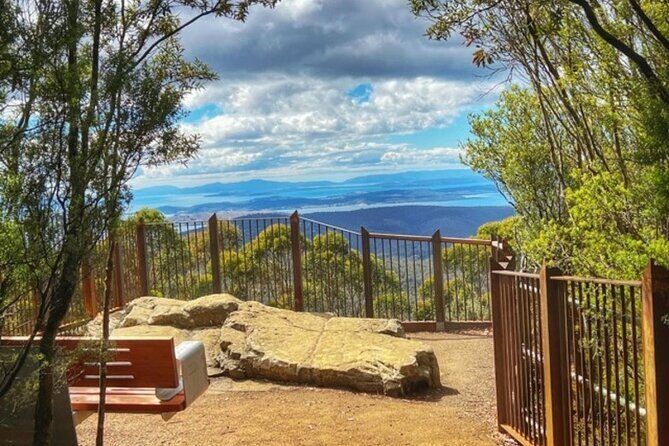 kunanyi/Mt Wellington Ultimate Experience Afternoon Tour - The Itinerary in Detail: What to Expect on the Mountain