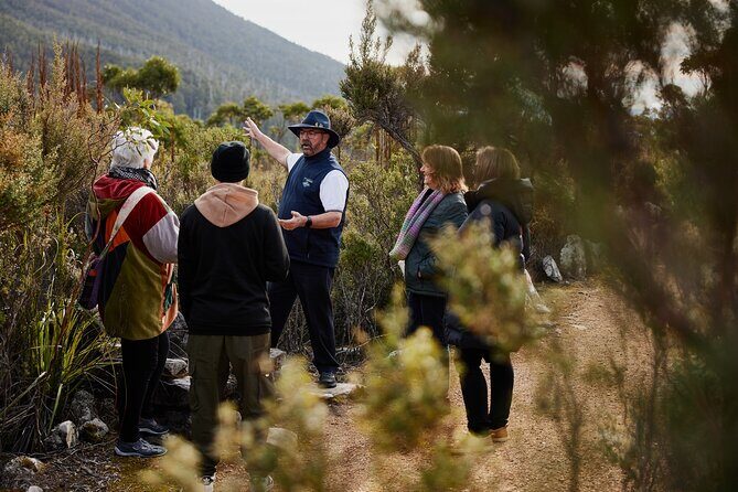 kunanyi/Mt Wellington Ultimate Experience Afternoon Tour - Who Should Consider This Tour?