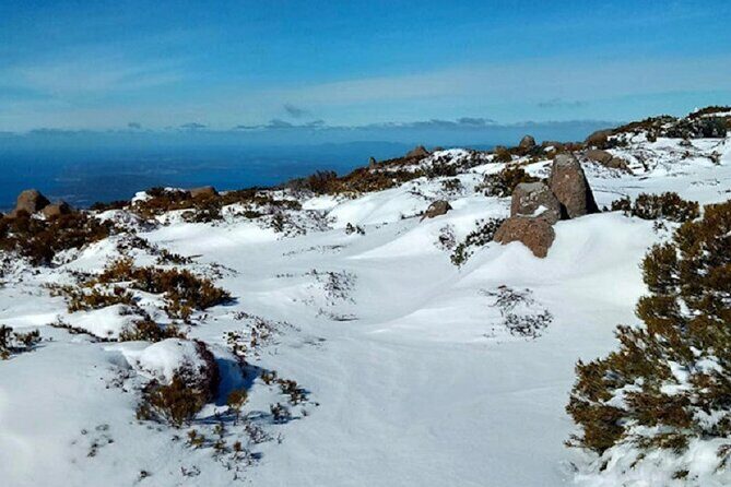 kunanyi/Mt Wellington Ultimate Experience Tour from Hobart - FAQ